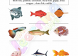 Fish-Worksheets-Grade-3-Activity-4