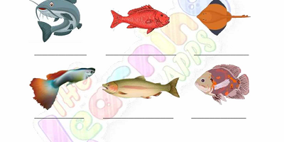 Fish-Worksheets-Grade-3-Activity-4 Fish-Worksheets-Grade-3-Activity-4