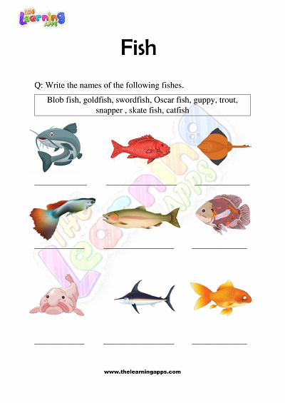 Fish-Worksheets-Grade-3-Activity-4
