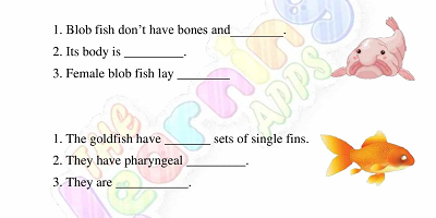 Fish-Worksheets-Grade-3-Activity-5