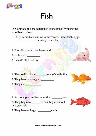 Fish-Worksheets-Grade-3-Activity-5