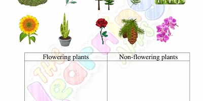 Flowering-and-Non-Flowering-Plants-Worksheets-Grade-3-Activity-1 Flowering-and-Non-Flowering-Plants-Worksheets-Grade-3-Activity-1