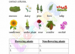 Flowering-and-Non-Flowering-Plants-Worksheets-Grade-3-Activity-10