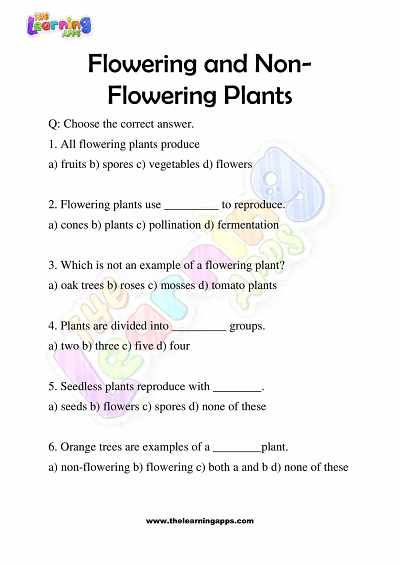 Flowering-and-Non-Flowering-Plants-Worksheets-Grade-3-Activity-7