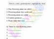 Flowering-and-Non-Flowering-Plants-Worksheets-Grade-3-Activity-8