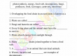 Food-Chain-Worksheets-Grade-3-Activity-8