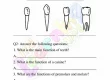 Human-Teeth-Worksheets-Grade-3-Activity-1