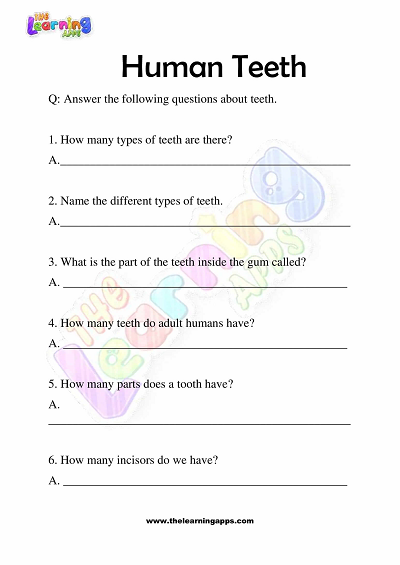 Human-Teeth-Worksheets-Grade-3-Activity-10
