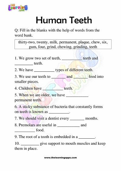 Human-Teeth-Worksheets-Grade-3-Activity-3