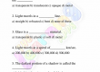 Light-Worksheets-Grade-3-Activity-4