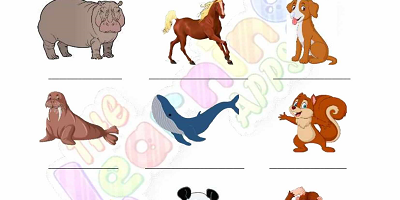 Mammals-Worksheets-Grade-3-Activity-2 Mammals-Worksheets-Grade-3-Activity-2