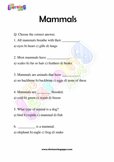 Mammals-Worksheets-Grade-3-Activity-3