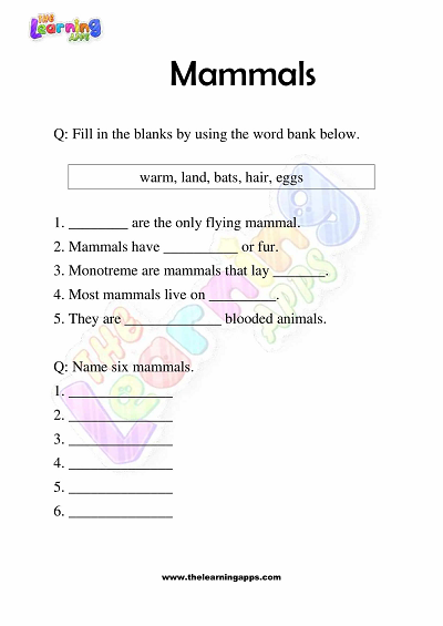 Mammals-Worksheets-Grade-3-Activity-4