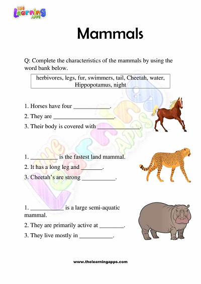 Mammals-Worksheets-Grade-3-Activity-5