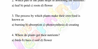 Needs-of-Plants-Worksheets-Grade-3-Activity-1 Needs-of-Plants-Worksheets-Grade-3-Activity-1