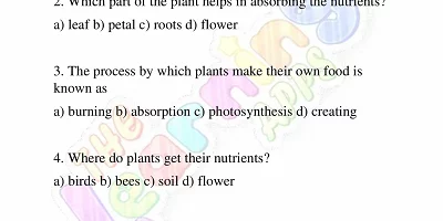 Needs-of-Plants-Worksheets-Grade-3-Activity-1 Needs-of-Plants-Worksheets-Grade-3-Activity-1