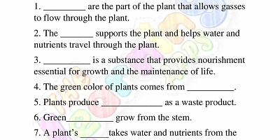 Needs-of-Plants-Worksheets-Grade-3-Activity-2 Needs-of-Plants-Worksheets-Grade-3-Activity-2