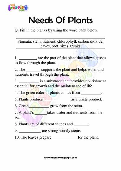 Needs-of-Plants-Worksheets-Grade-3-Activity-2