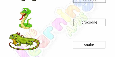 တွားသွားသတ္တဝါများ-စာရွက်များ-အဆင့်-၃-လုပ်ဆောင်ချက်-၁