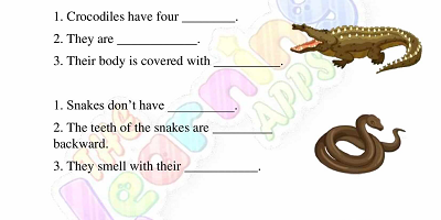 Reptiles-Feuilles de travail-Année-3-Activité-3