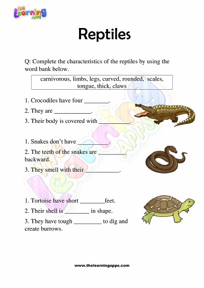 Reptiles-Worksheets-Grade-3-Activity-3