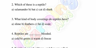 Reptiles-Feuilles de travail-Année-3-Activité-4 Reptiles-Feuilles de travail-Année-3-Activité-4