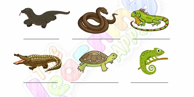 Reptilien-Arbeitsblätter-Klasse-3-Aktivität-5 Reptilien-Arbeitsblätter-Klasse-3-Aktivität-5