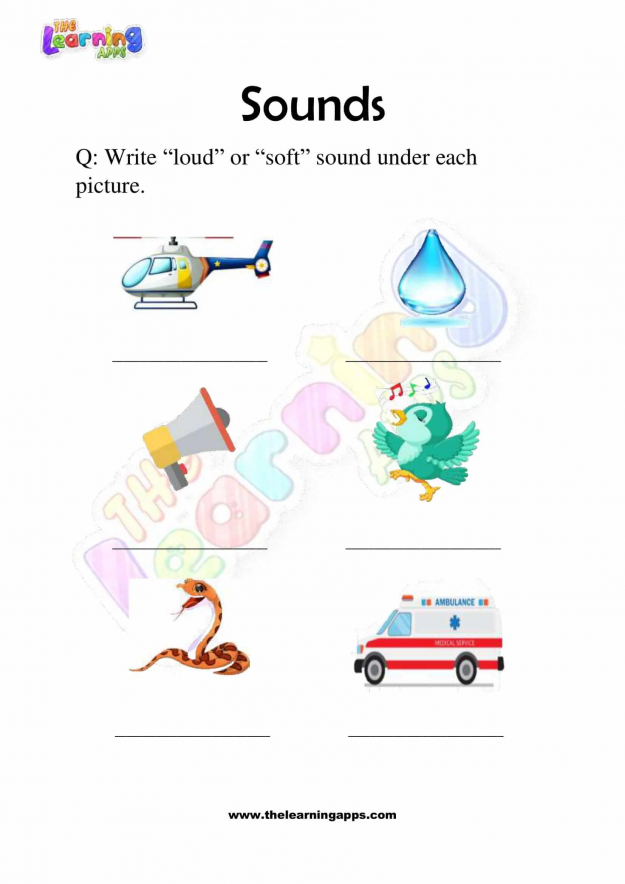 Sounds-Worksheets-Grade-3-Activity-5