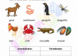 Vertebrates-and-Invertebrates-Worksheets-Grade-3-Activity-3
