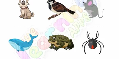 Warm-and-Cold-Blooded-Animals-Worksheets-Grade-3-Activity-1 Warm-and-Cold-Blooded-Animals-Worksheets-Grade-3-Activity-1