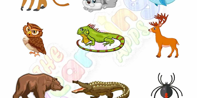 Warm-and-Cold-Blooded-Animals-Worksheets-Grade-3-Activity-5 Warm-and-Cold-Blooded-Animals-Worksheets-Grade-3-Activity-5