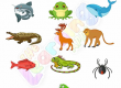 Warm-and-Cold-Blooded-Animals-Worksheets-Grade-3-Activity-6