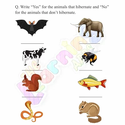 Hibernation-Worksheets-for-Grade-1-Activity-1 Hibernation-Worksheets-for-Grade-1-Activity-1