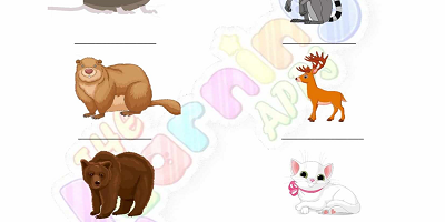 Hibernation-Worksheets-for-Grade-1-Activity-2 Hibernation-Worksheets-for-Grade-1-Activity-2