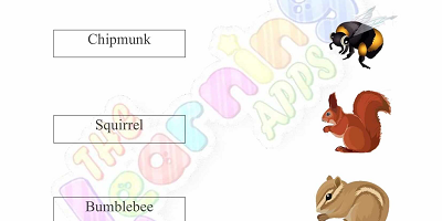 Hibernation-Worksheets-for-Grade-1-Activity-4 Hibernation-Worksheets-for-Grade-1-Activity-4