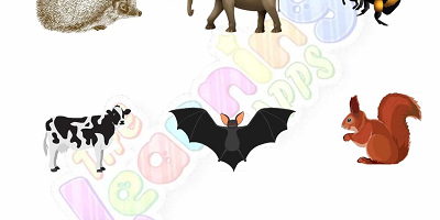 Hibernation-Worksheets-for-Grade-1-Activity-5 Hibernation-Worksheets-for-Grade-1-Activity-5