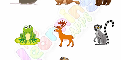 Hibernation-Worksheets-for-Grade-1-Activity-6 Hibernation-Worksheets-for-Grade-1-Activity-6