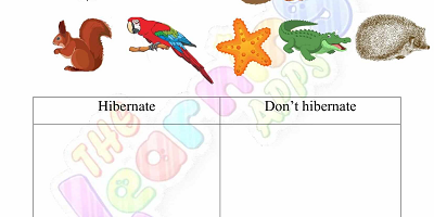 Hibernation-Worksheets-for-Grade-1-Activity-8 Hibernation-Worksheets-for-Grade-1-Activity-8