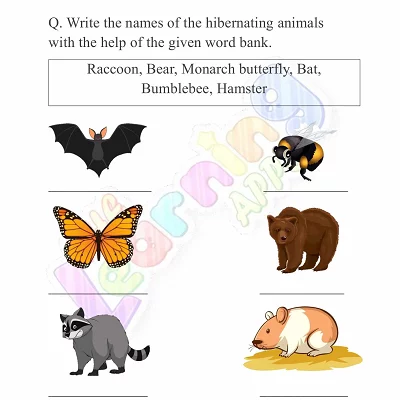 Hibernation-Worksheets-for-Grade-2-Activity-1 Hibernation-Worksheets-for-Grade-2-Activity-1