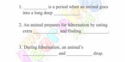 Hibernation-Worksheets-for-Grade-3-Activity-1 Hibernation-Worksheets-for-Grade-3-Activity-1