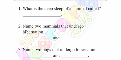 Hibernation-Worksheets-for-Grade-3-Activity-2 Hibernation-Worksheets-for-Grade-3-Activity-2