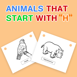 animals-that-start-with-h animals-that-start-with-h