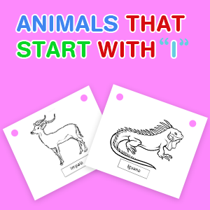 animals-that-start-with-i animals-that-start-with-i