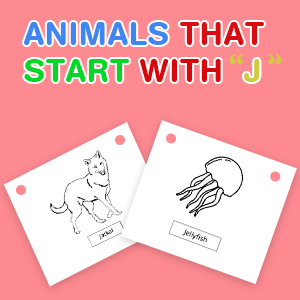 animals-that-start-with-j animals-that-start-with-j