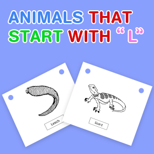animals-that-start-with-l animals-that-start-with-l