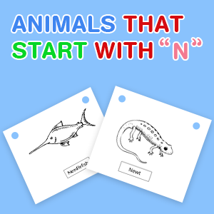 animals-that-start-with-n animals-that-start-with-n