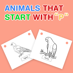 animals-that-start-with-p animals-that-start-with-p
