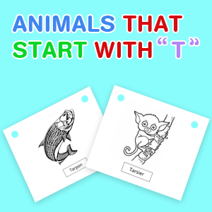 animals-that-start-with-t animals-that-start-with-t