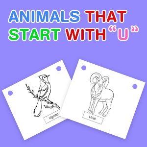 animals-that-start-with-u animals-that-start-with-u