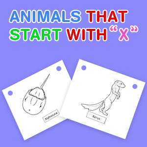 animals-that-start-with-x animals-that-start-with-x